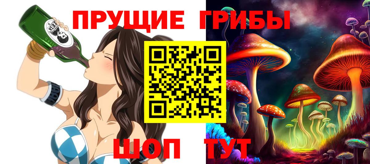 Дедовск  Псилоцибиновые грибы мицелий  Вход с VPN 
