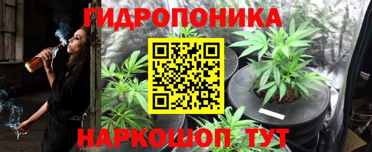 Бошки Шишки марихуана  Вход с VPN  Дедовск  Канабис THC 21%  Шишки марихуана индика  Конопля тримм 